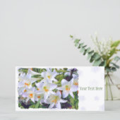 Paaslicht [Flat Guide-kaart] 案 内 状 Aankondiging (Staand voorkant)