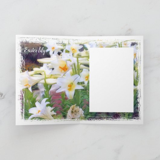 Paaslicht [Wenskaart] カ ー ド Kaart (Binnen)