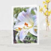 Paaslicht [Wenskaart] カ ー ド Kaart (Gele Bloem)