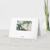 Paaslicht [Wenskaart] カ ー ド Kaart (Achterkant)