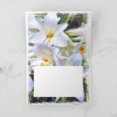 Paaslicht [Wenskaart] カ ー ド Kaart (Binnen)