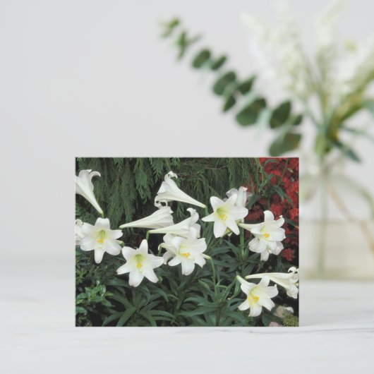 PaasLily (Lilium regale) Feestdagenkaart (Staand voorkant)