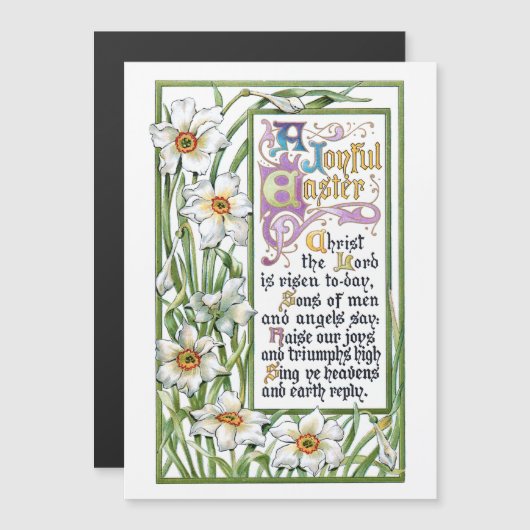 paasmakerij en Narcissi (Voorkant / Achterkant)