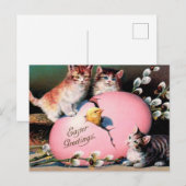  paasmakerij Katten Chick en paaseieren Briefkaart (Voorkant / Achterkant)