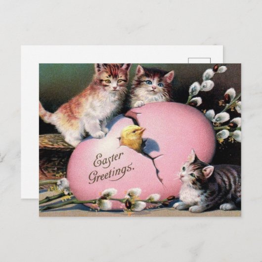  paasmakerij Katten Chick en paaseieren Briefkaart (Voorkant / Achterkant)