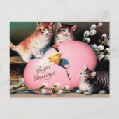  paasmakerij Katten Chick en paaseieren Briefkaart (Voorkant)