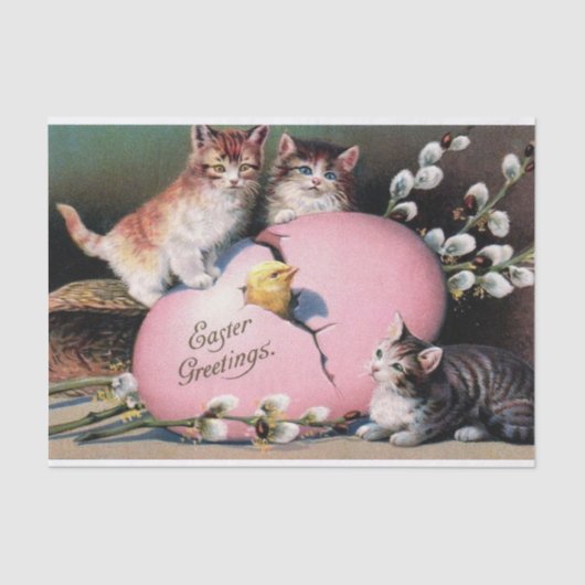  paasmakerij Katten Chick en paaseieren Tissuepapier (Voorkant)