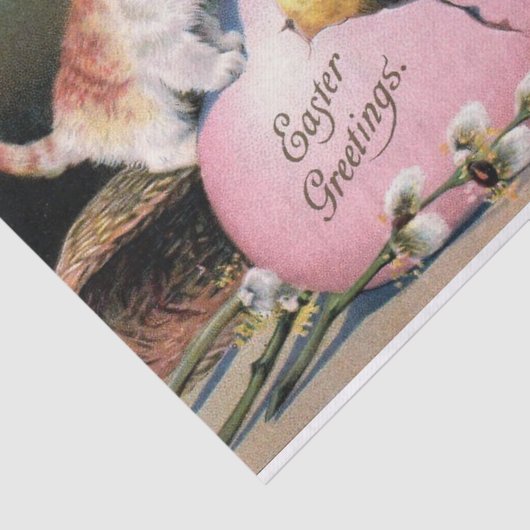  paasmakerij Katten Chick en paaseieren Tissuepapier (Detail)