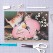  paasmakerij Katten Chick en paaseieren Tissuepapier (Craft)