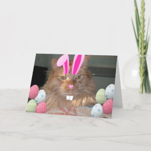 Paasmakerij, Oranje keukenkat Feestdagen Kaart