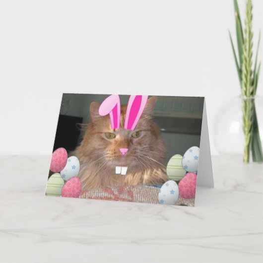 Paasmakerij, Oranje keukenkat Feestdagen Kaart (Voorkant)