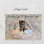 Paasmand van Patton - Kat/Katje  - Plat Kaart (Voorkant / Achterkant)