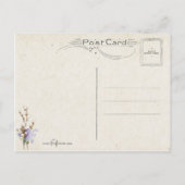  paasmandje, eieren en kuikens briefkaart (Achterkant)