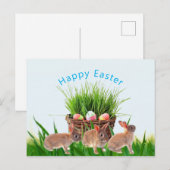 Paasmandje en konijnen Happy Holiday Briefkaart (Voorkant / Achterkant)