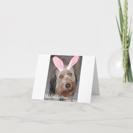 Paasminiatuurschnauzer Feestdagen Kaart (Achterkant)