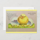  paasoorts verkuilt de verkuiken briefkaart (Voorkant / Achterkant)