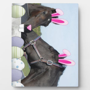 Paaspaarden en poney fotoplaat