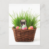 Paaspug Feestdagenkaart (Voorkant)