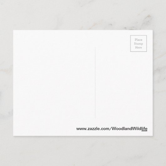 Paassalamander Eft briefkaart (Achterkant)