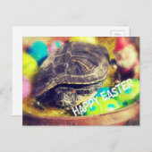 Paasschildpad Feestdagenkaart (Voorkant / Achterkant)