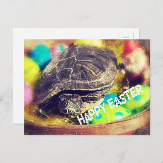 Paasschildpad Feestdagenkaart (Voorkant / Achterkant)