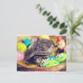 Paasschildpad Feestdagenkaart (Staand voorkant)