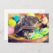 Paasschildpad Feestdagenkaart (Voorkant / Achterkant)