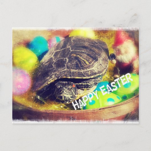 Paasschildpad Feestdagenkaart (Voorkant)