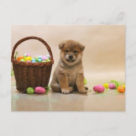 Paasshiba Inu Feestdagenkaart