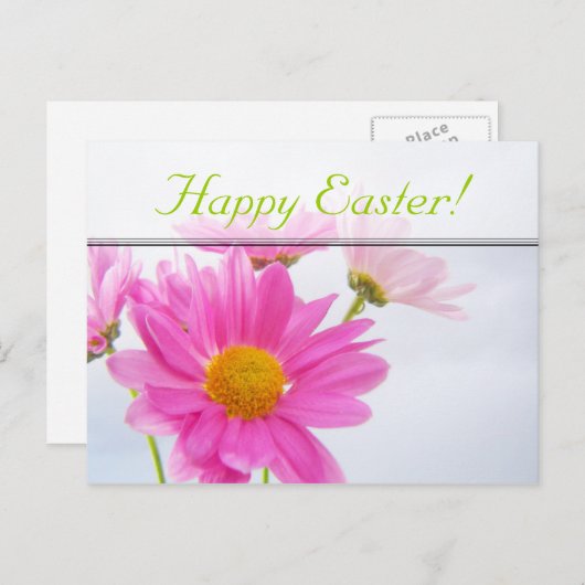 paastroze daisy Briefkaart (Voorkant / Achterkant)