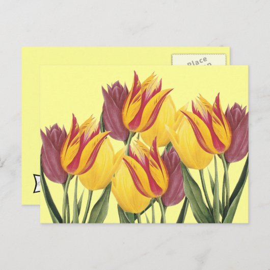 Paastulpen Feestdagenkaart (Voorkant / Achterkant)