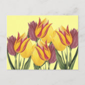 Paastulpen Feestdagenkaart (Voorkant)