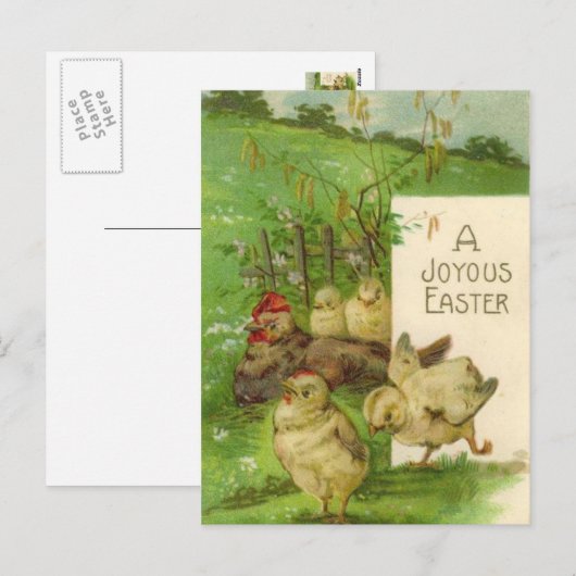 paasvakantie kuikens briefkaart (Voorkant / Achterkant)