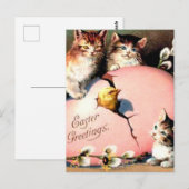 Paasvergrotingen van Cute  Kittens Briefkaart (Voorkant / Achterkant)