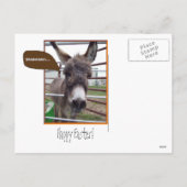 Paasverrassing! Feestdagenkaart (Achterkant)