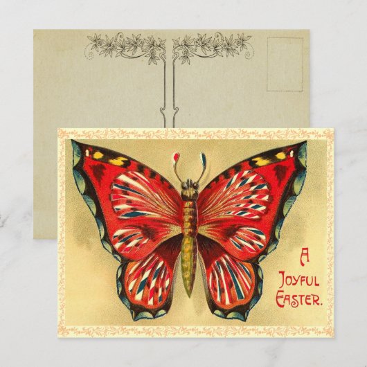  paasvlinder Briefkaart (Voorkant / Achterkant)