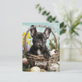 paasvreugde met harige vrienden briefkaart (Staand voorkant)