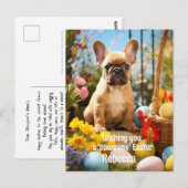  paasvreugde met harige vrienden briefkaart (Voorkant / Achterkant)