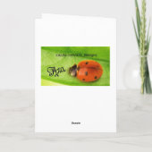 PaasWenskaart Feestdagen Kaart (Achterkant)