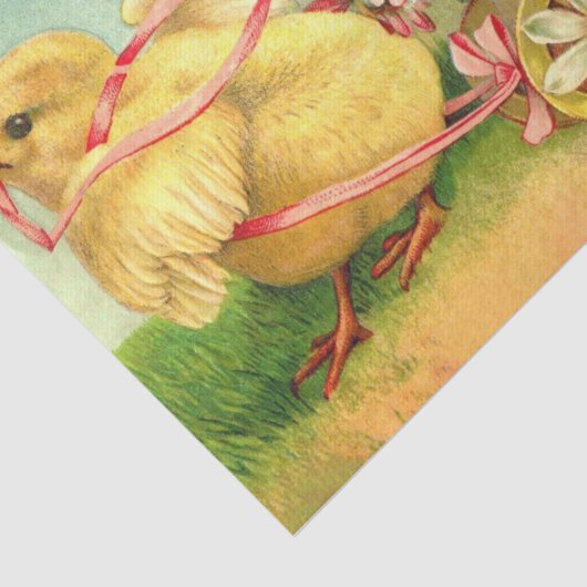  paaswitboek voor kippen tissuepapier (Detail)