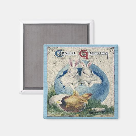  paaswitkonijnen en Baby eikels. ZSSG Magneet (Voorkant / Achterkant)