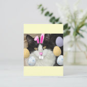 Paaszwart en witkat feestdagenkaart (Staand voorkant)