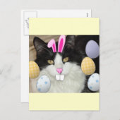 Paaszwart en witkat feestdagenkaart (Voorkant / Achterkant)