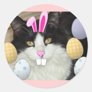 Paaszwart en witkat ronde sticker