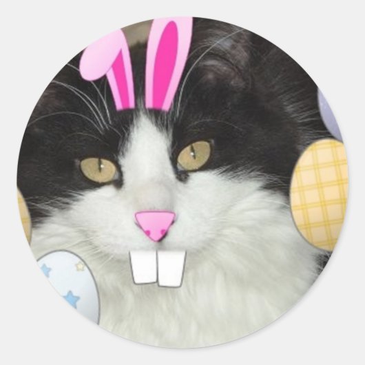 Paaszwart en witkat ronde sticker (Voorkant)