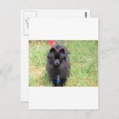 Pablo de Pommeren Briefkaart (Voorkant / Achterkant)