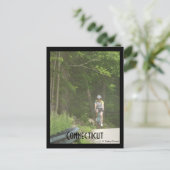Pachaug State Forest, CT. Briefkaart (Staand voorkant)