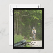 Pachaug State Forest, CT. Briefkaart (Voorkant / Achterkant)