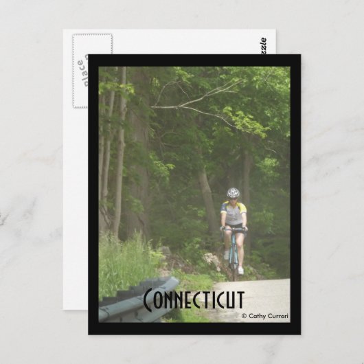 Pachaug State Forest, CT. Briefkaart (Voorkant / Achterkant)