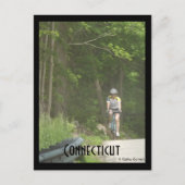 Pachaug State Forest, CT. Briefkaart (Voorkant)